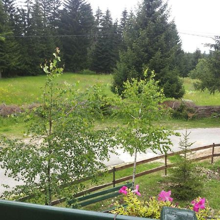 Holiday Home Stella Star Zabljak  Bagian luar foto
