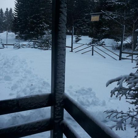 Holiday Home Stella Star Zabljak  Bagian luar foto
